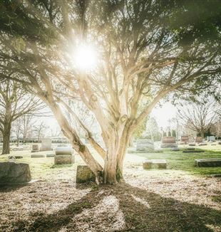 (Foto: Kevin Andre/Unsplash)